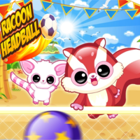 Racoon Headball